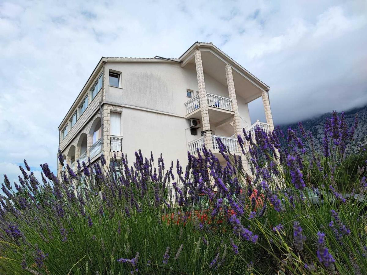 Apartments Dodik 오레비츠 외부 사진